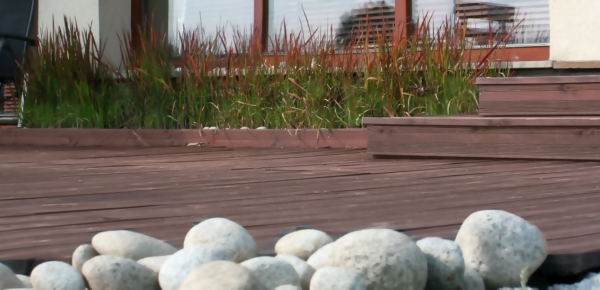 Dom jednorodzinny Dom jednorodzinny